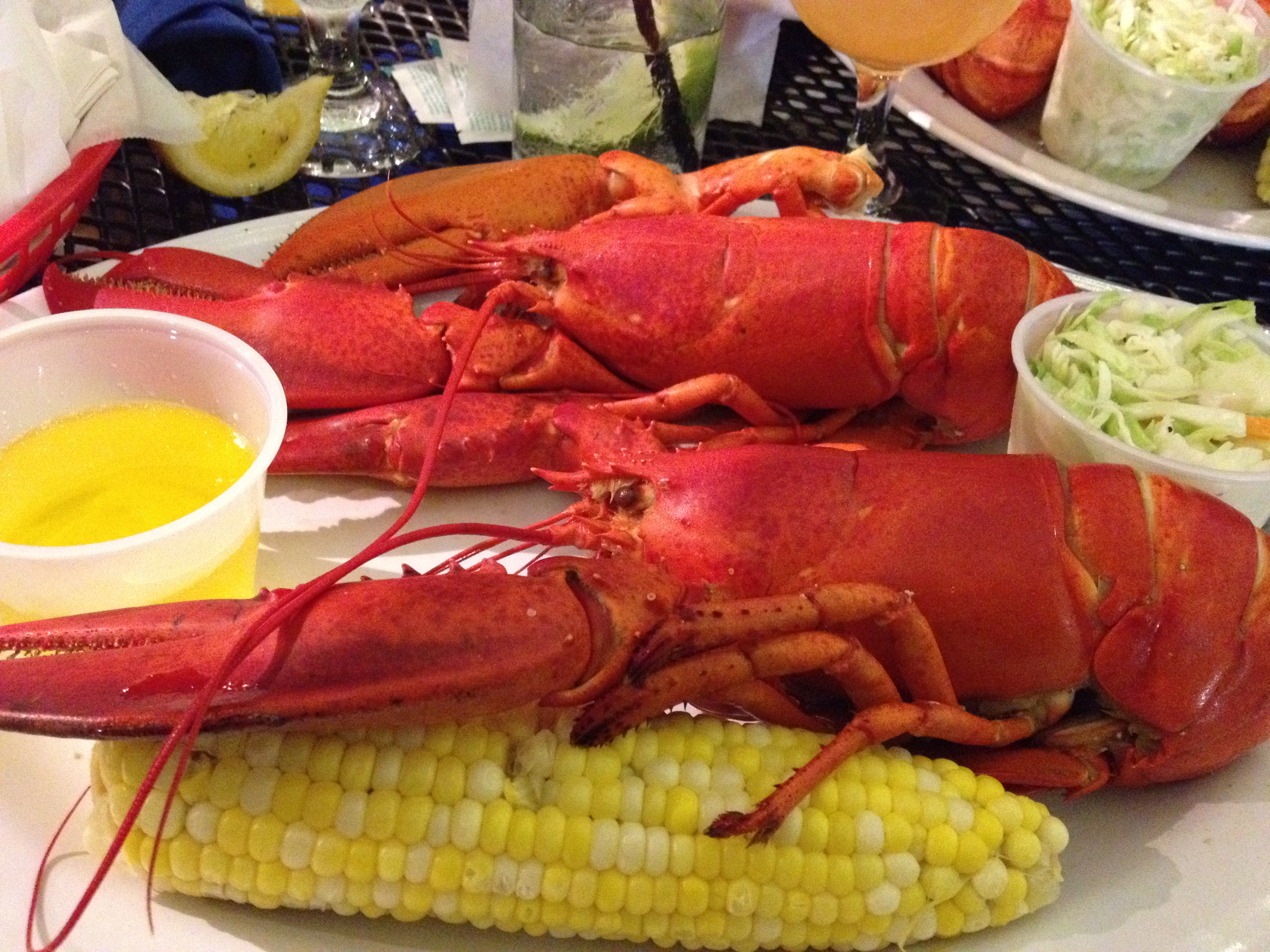 Lobster Fest At Seaport Grille 999 Single Lobster Boom
