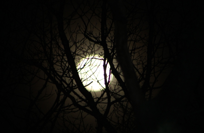 April 13, 2014 spooky moon