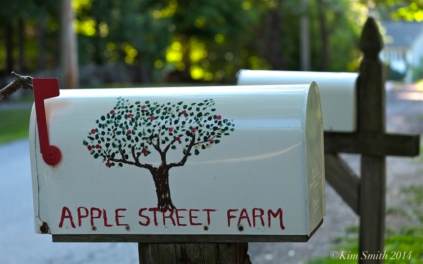 Apple Street Farm ©Kim Smith 2014