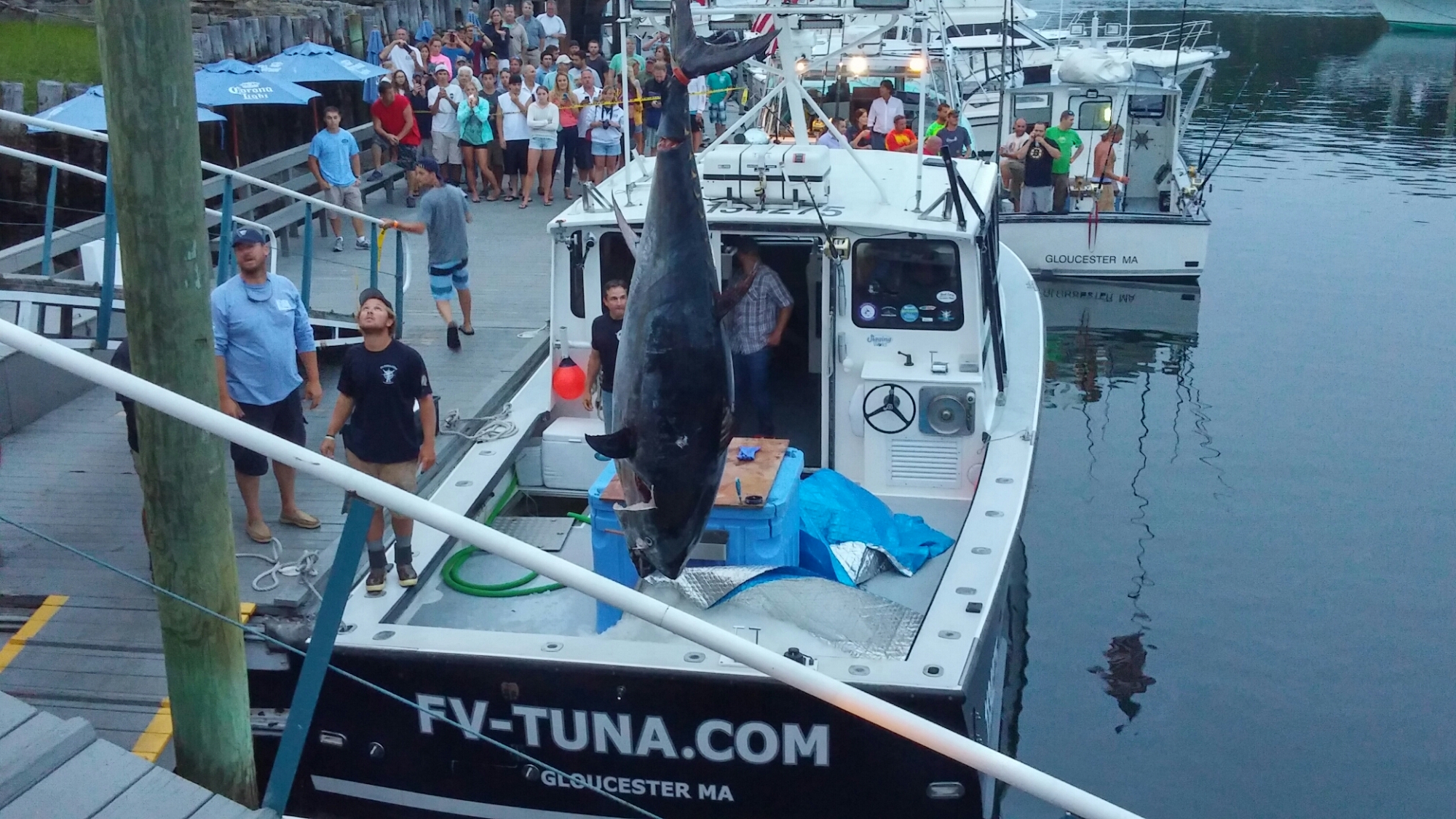 Permalink to 'Wicked Tuna' captains barred from Bluefin Blowout. ...