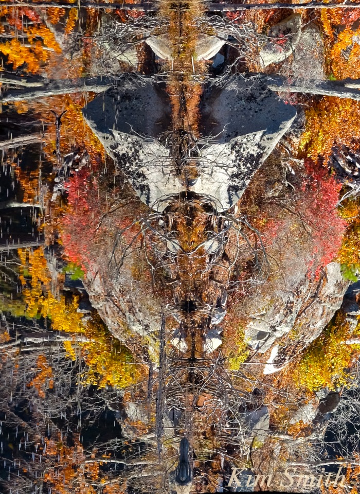 symmetry-beaver-pond-copyright-kim-smith
