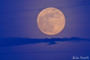 Full Flower Moon May Gloucester Massachusetts -7 copyright Kim Smith