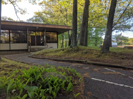lilies of valley at entrance common with DONALD F MONELL_architect _Beverly Times Newspaper Plant and Offices_1969_ now Salem News_20190524_©catherine ryan (9)