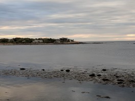 tower in distance all that remains of a Don F Monell Gloucester MA residence commissioned by Marietta Lynch of Beverly_ _20190523_© c ryan
