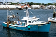 Bluefin Tuna FV Bantry Bay Gloucester Massachusetts copyright Kim Smith - 02