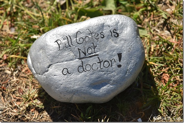 2020 6 1 Blvd painted Rocks & Protest At Rotary 035