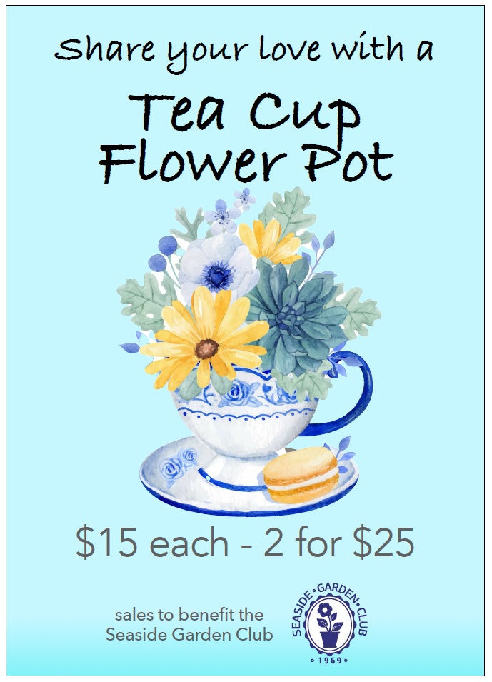 Teacup Flower Sale – Good Morning Gloucester
